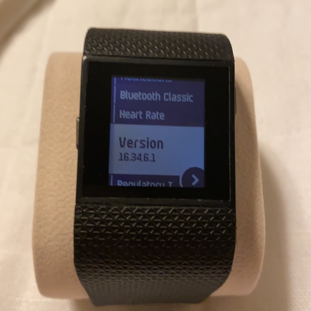Fitbit Surge FB501